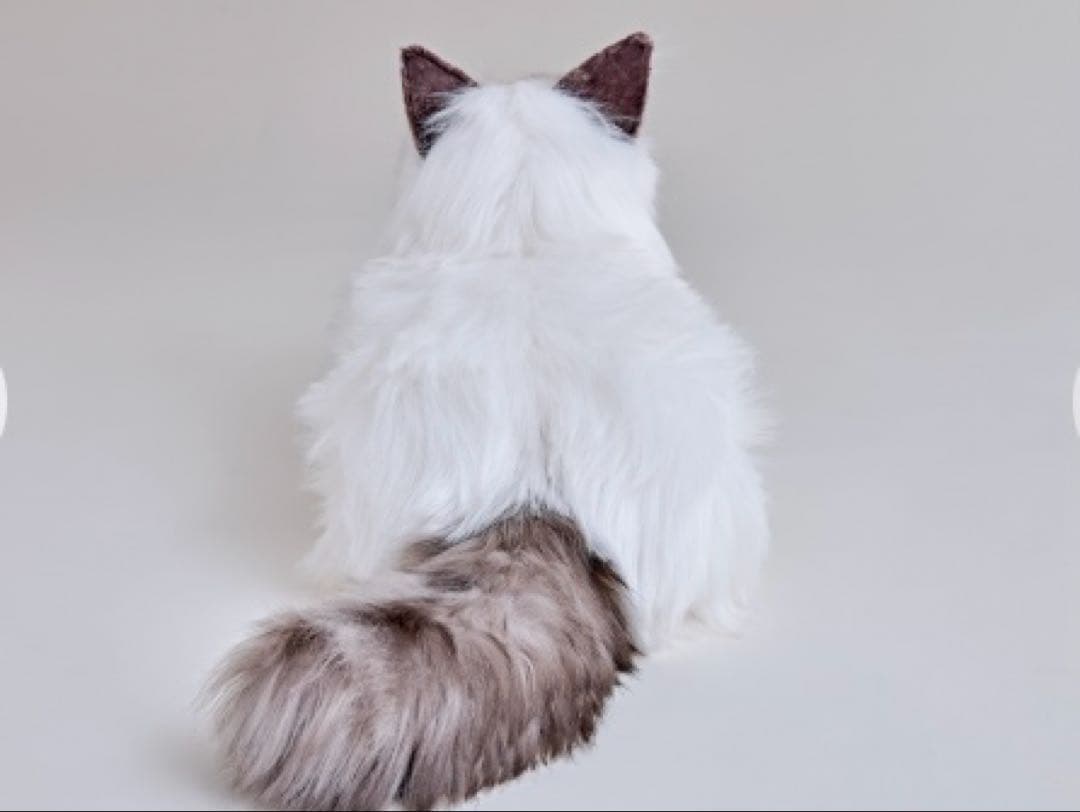 値下げしました！ネコロボット　KIMIT（キミット）追記必読⭐︎