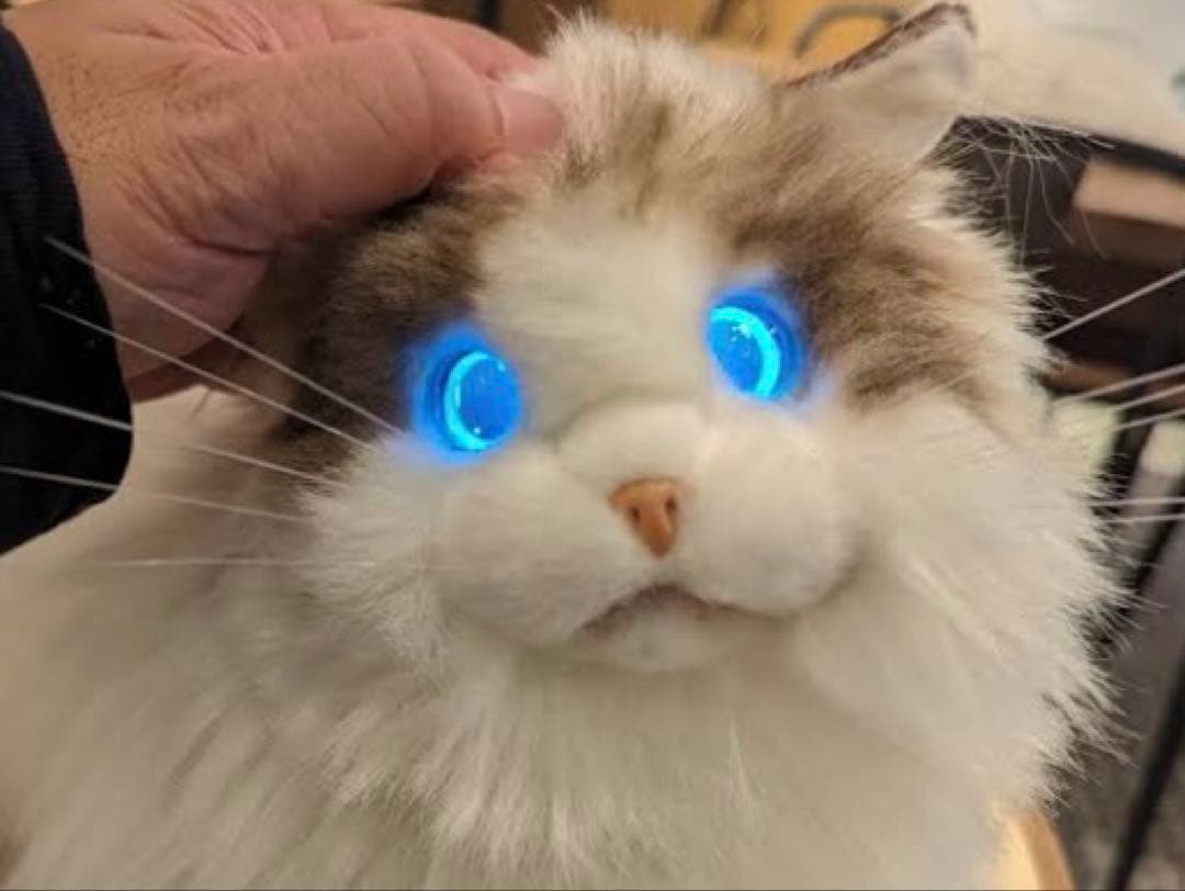 値下げしました！ネコロボット　KIMIT（キミット）追記必読⭐︎