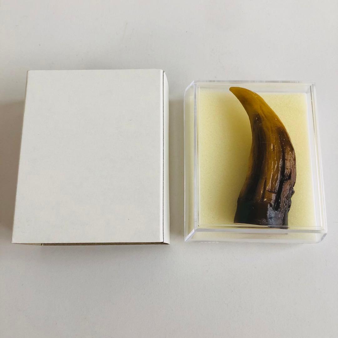 [新品] ゴジラ 爪 レプリカ【匿名配送】