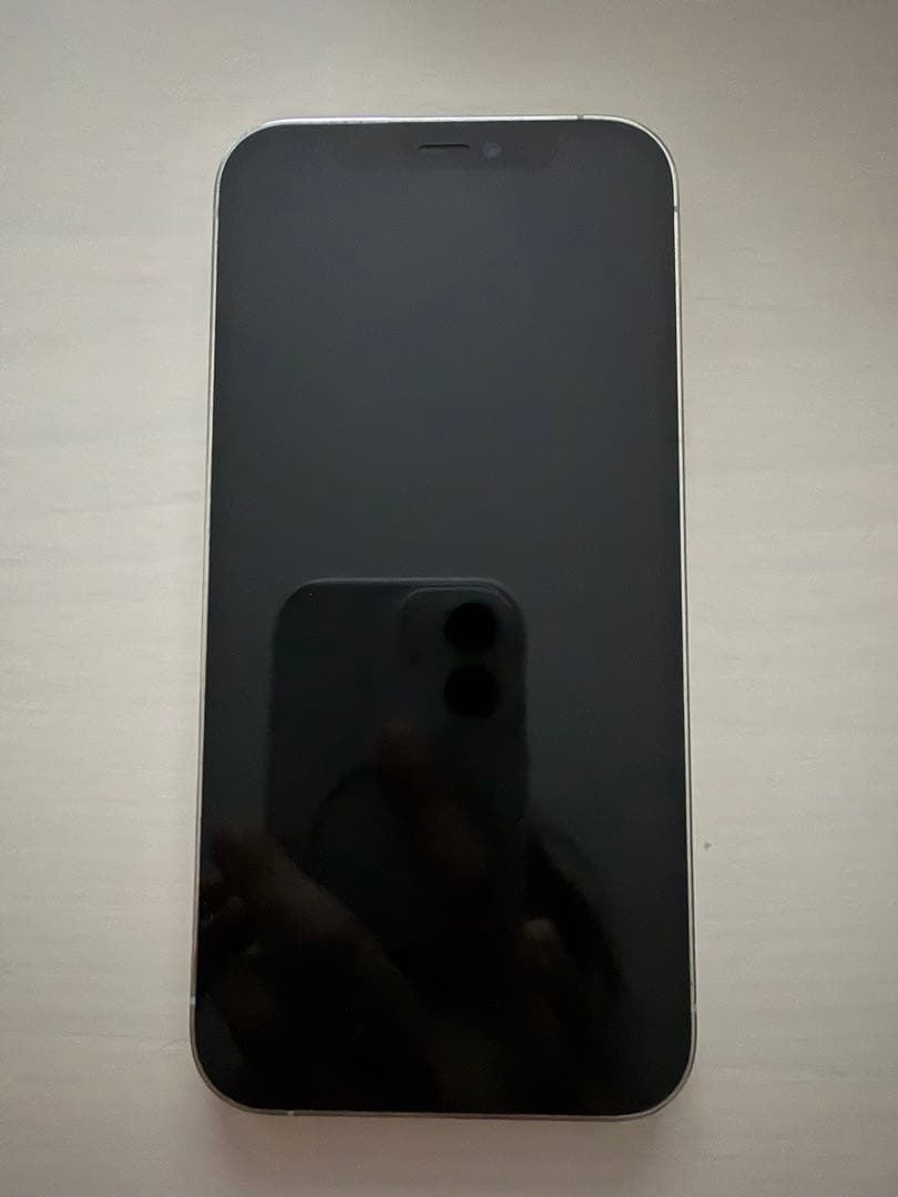 iPhone12po 本体のみ