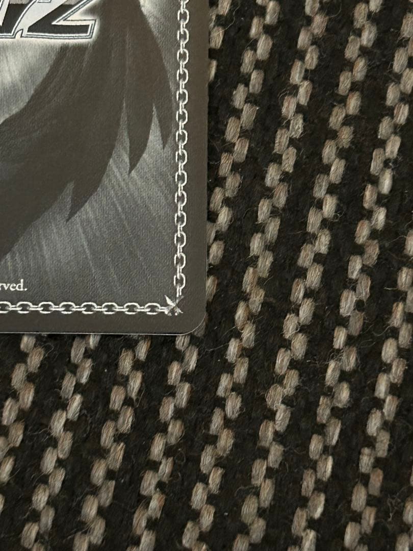 ヴァイスシュヴァルツ 怪獣になった男 怪獣8号 SEC サイン