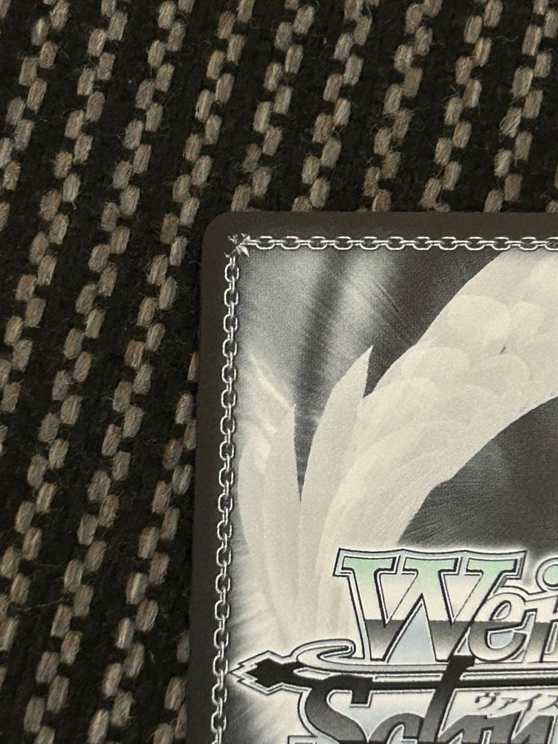 ヴァイスシュヴァルツ 怪獣になった男 怪獣8号 SEC サイン