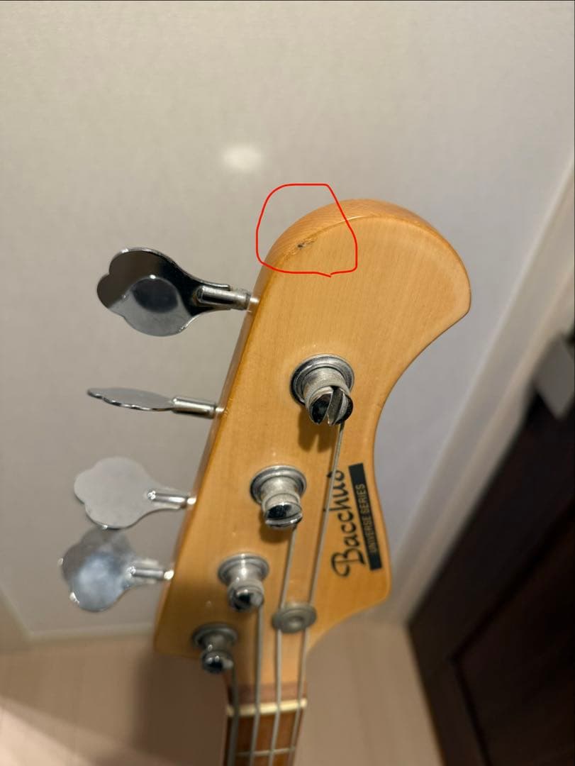 Bacchus BJB-300 ジャズベース