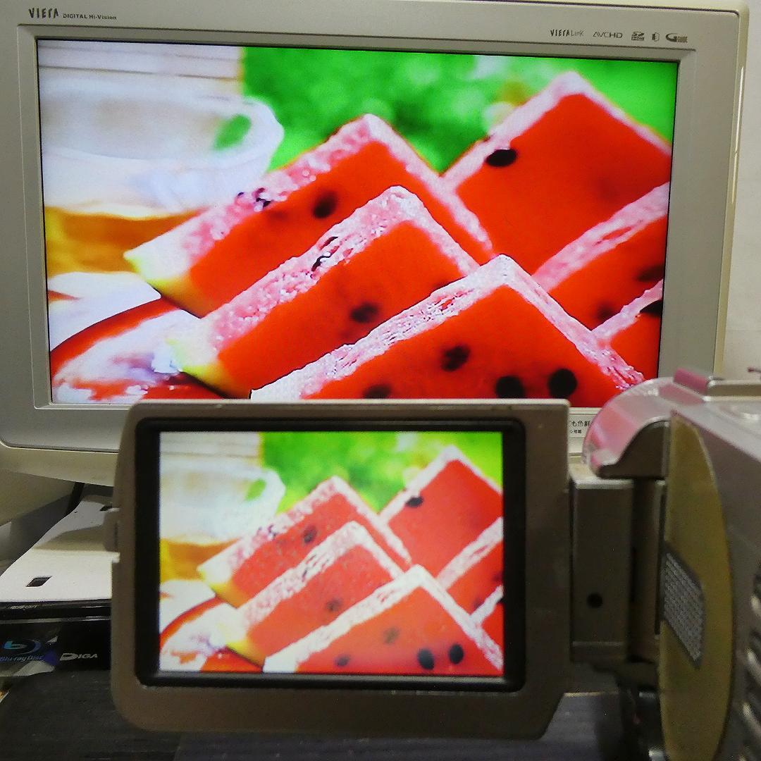 美品・動作品ソニー DCR-TRV20 MiniDV ビデオカメラ DVD化に