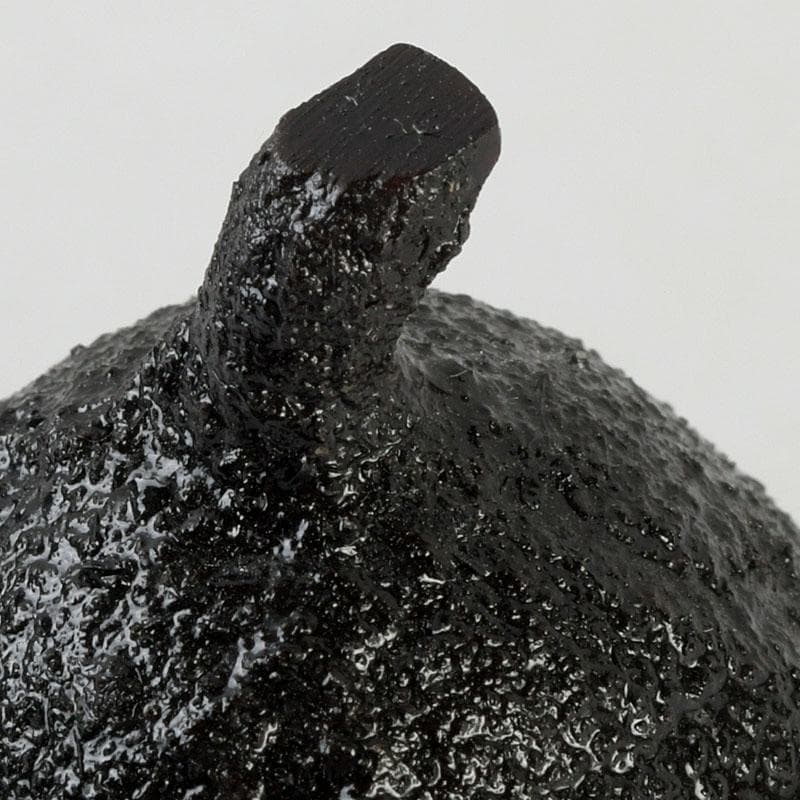 茶道具　嗣造作　黒柿　茄子香合　共箱　V　9583