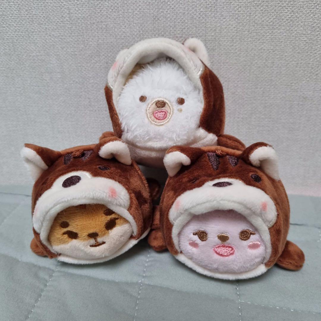 DAY6 プチデ二マルズ マスコット 人形 ドール キーホルダー リス服