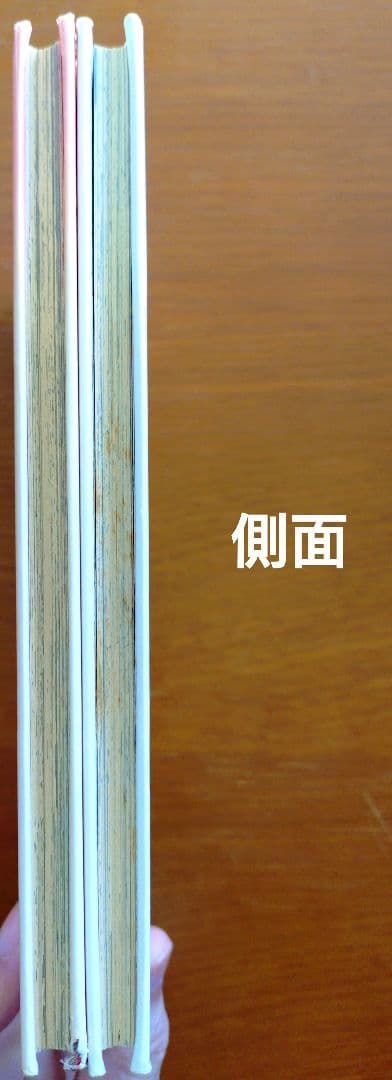 ​【りっち】だいすき♥たまごっち 1巻・2巻 セット 希少