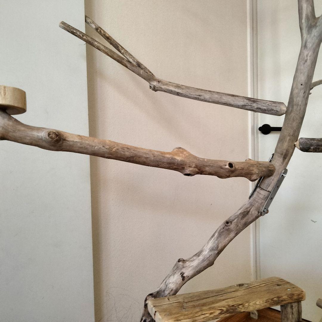 バードアスレチックジム大型 ㊷ 天然木 自然木 流木 インコ おもちゃ