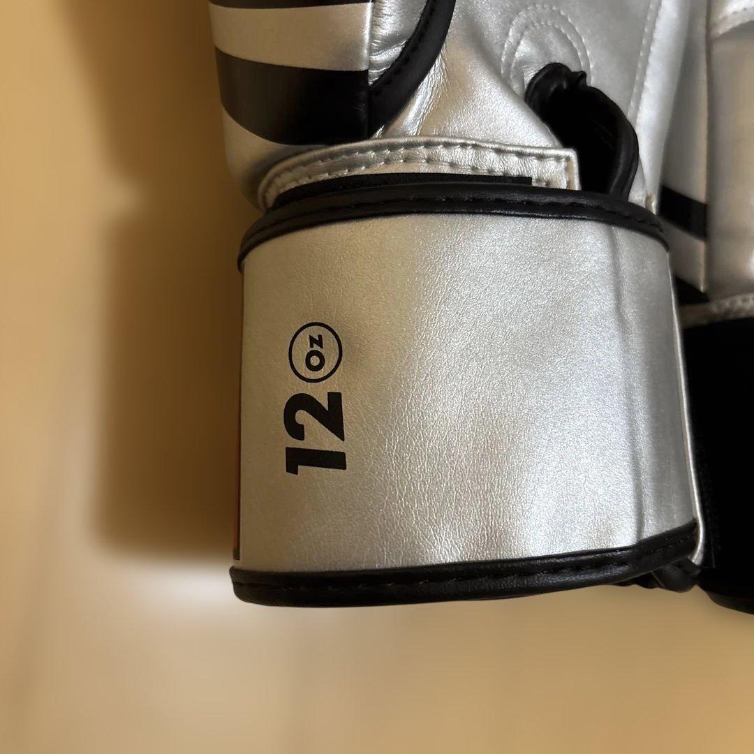 TWINS SPECIAL ボクシンググローブ 12oz シルバー