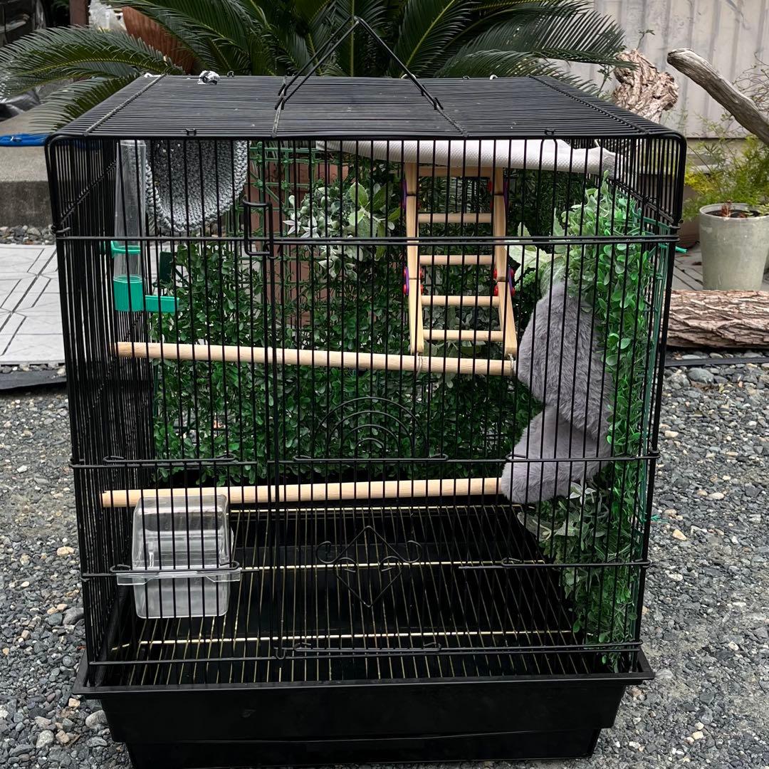 大きめの金属製鳥かご