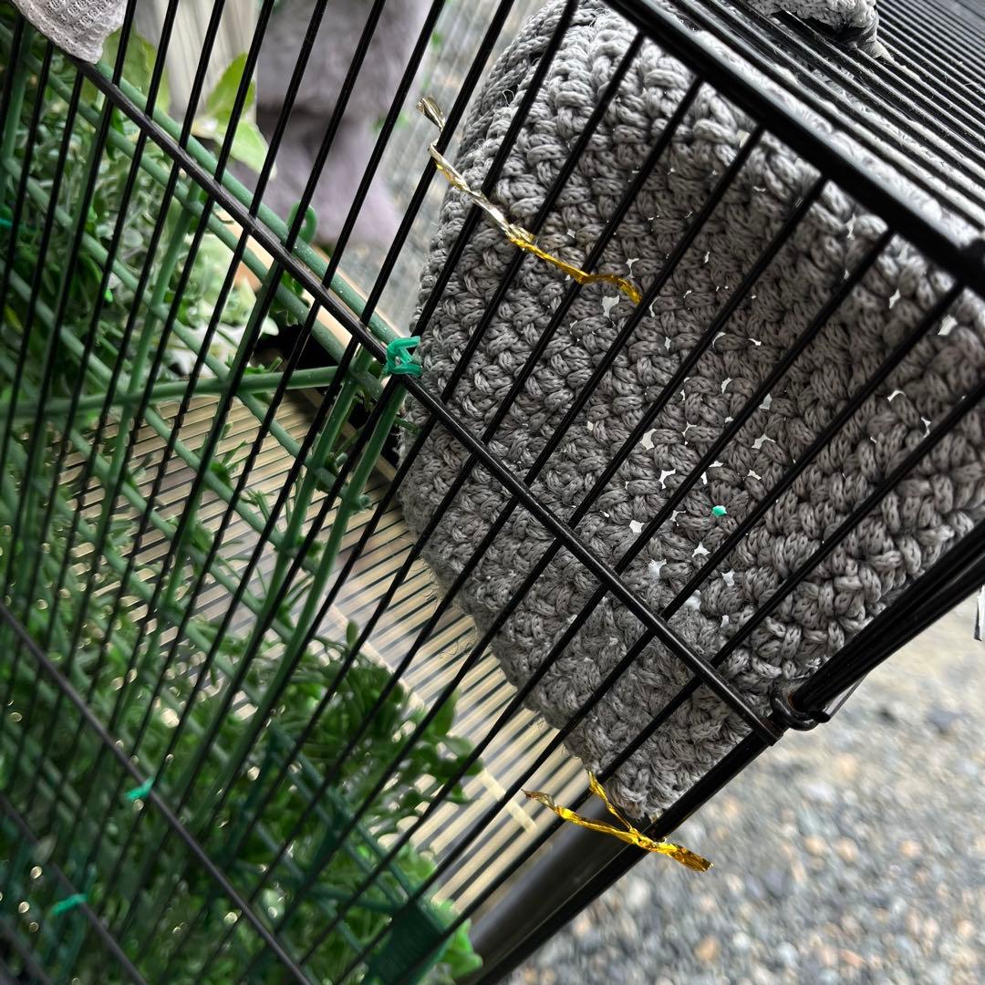 大きめの金属製鳥かご