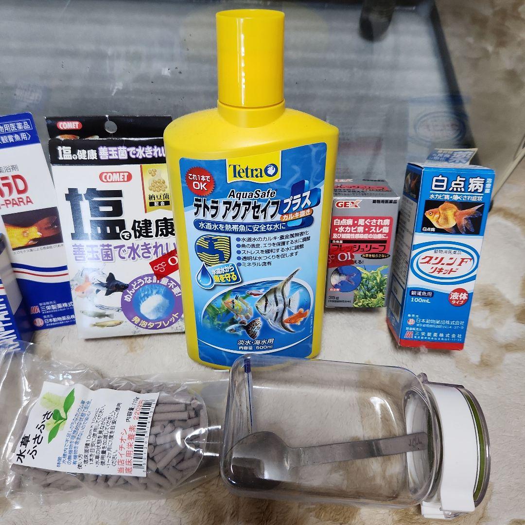 60cm 水槽 熱帯魚 フルセット
