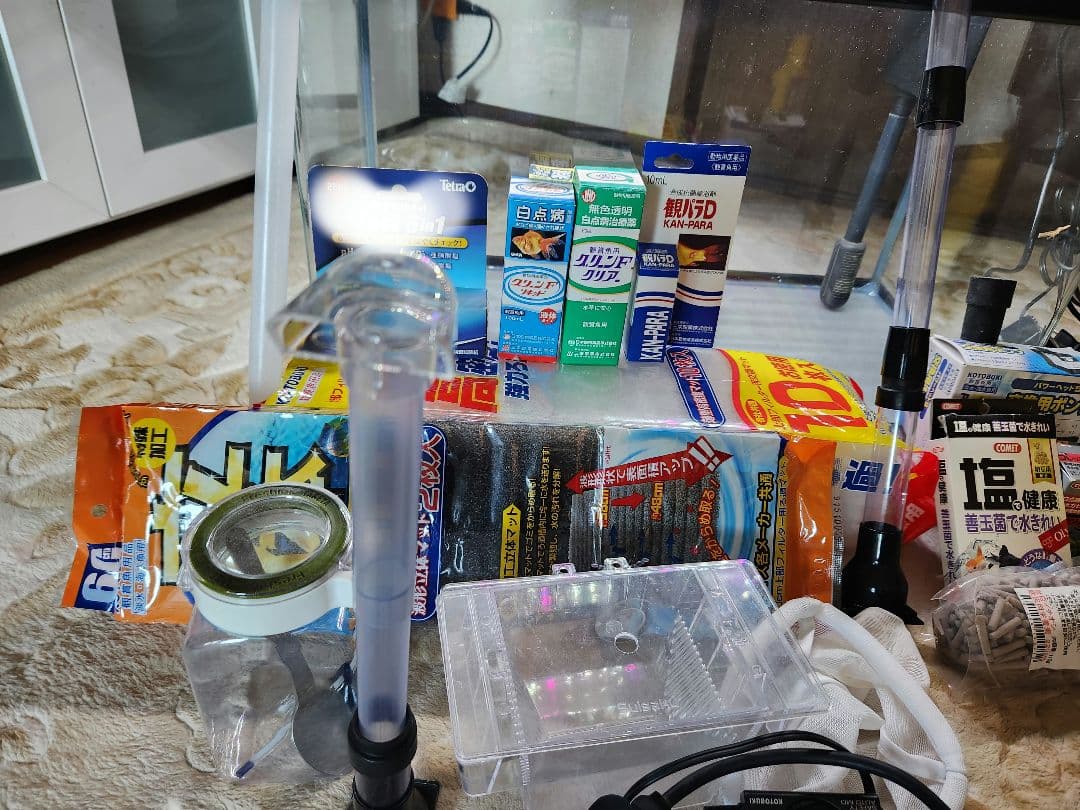 60cm 水槽 熱帯魚 フルセット