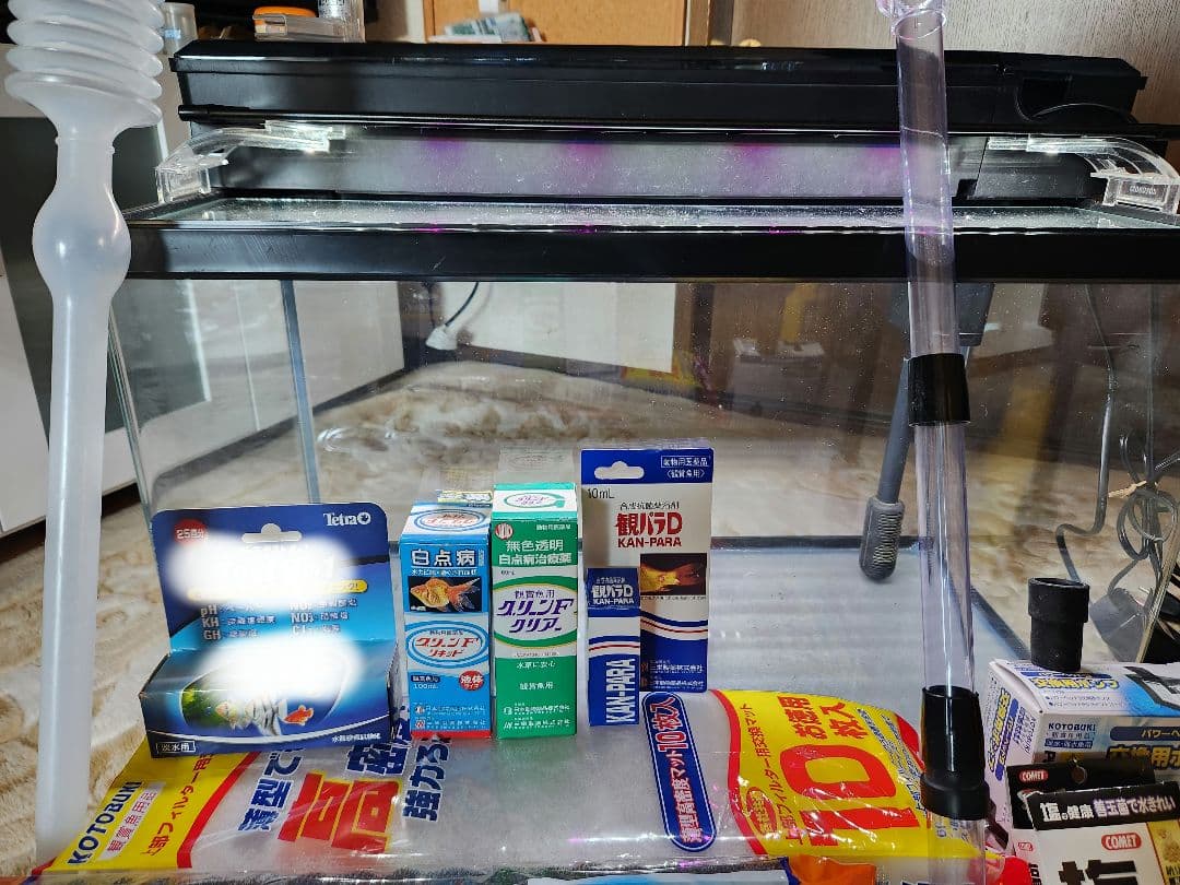 60cm 水槽 熱帯魚 フルセット