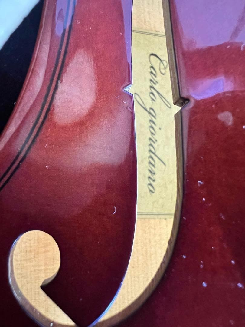 カルロジョルダーノ バイオリンセット ブラック VS-1 3/4 ケース付