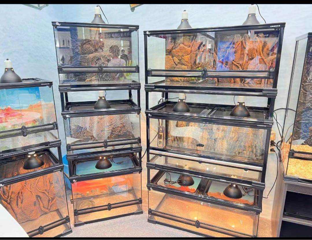 自社製組み立て式爬虫類両生類ケージガラス飼育ケージ90x45x45cm引取り可