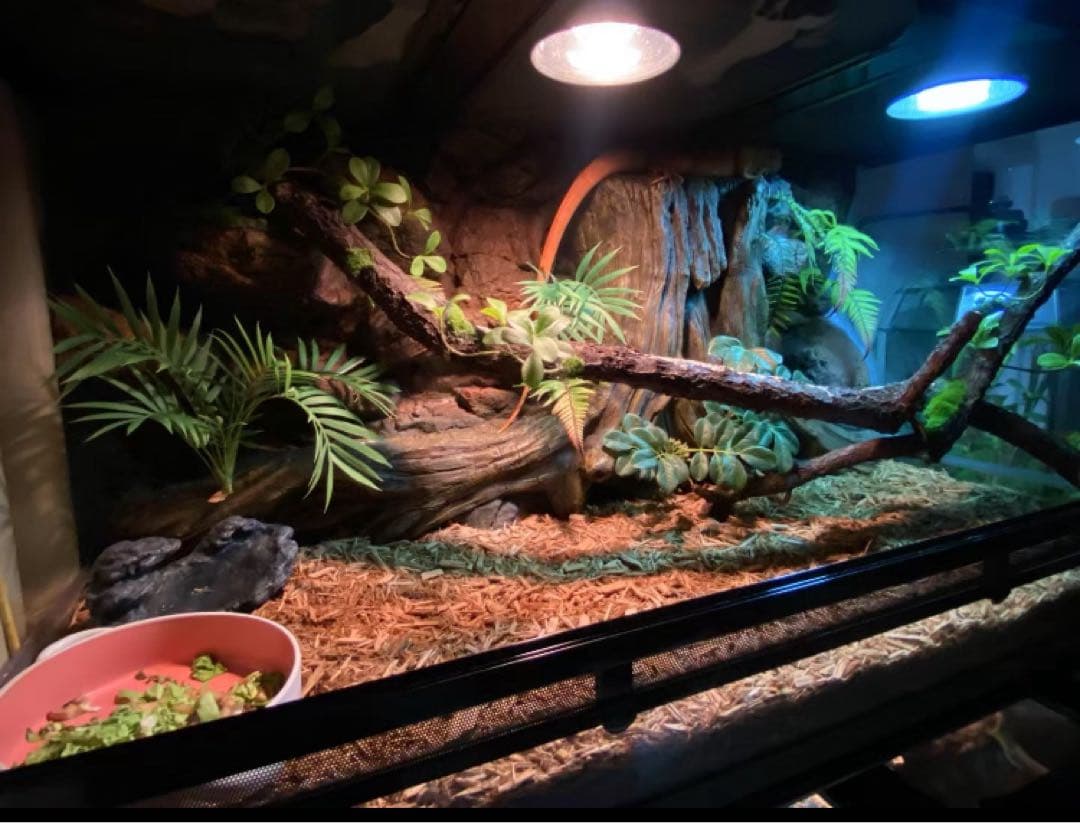 自社製組み立て式爬虫類両生類ケージガラス飼育ケージ90x45x45cm引取り可