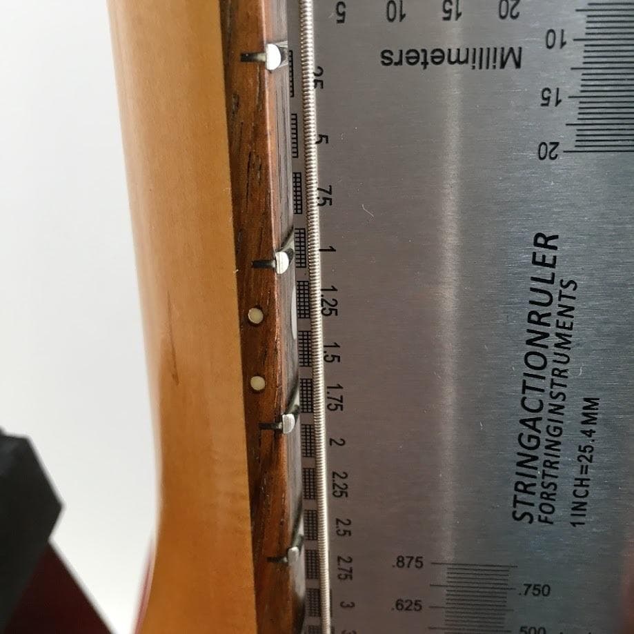 PIGNOSE PGG200 PGG-200 ピグノーズ アンプ内蔵エレキギター