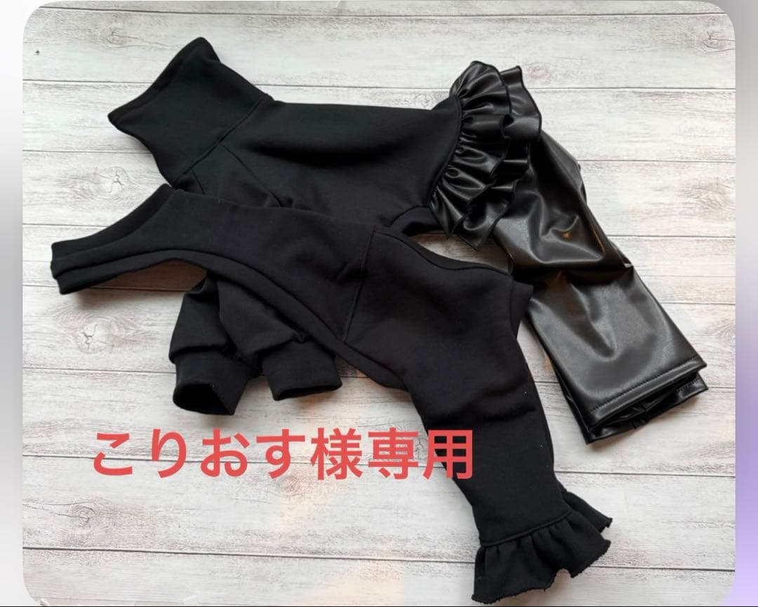 こりおす　イタグレ服