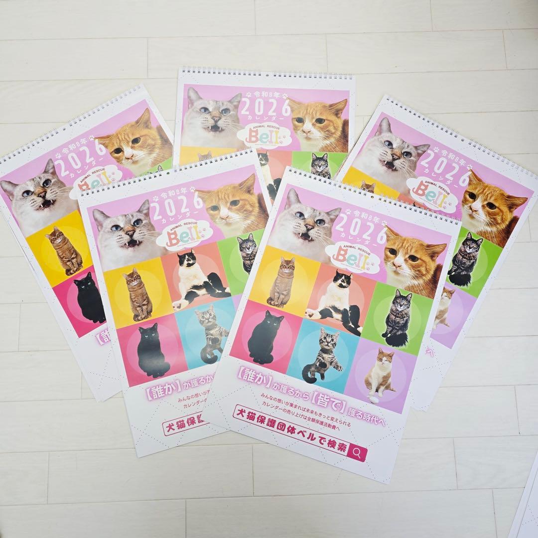 ②《猫》壁掛けチャリティーカレンダー10枚セット