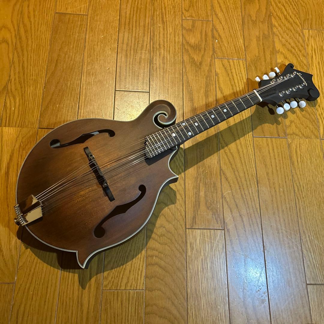 フラットマンドリン　イーストマン　md-315 /CLA ピックアップ付き