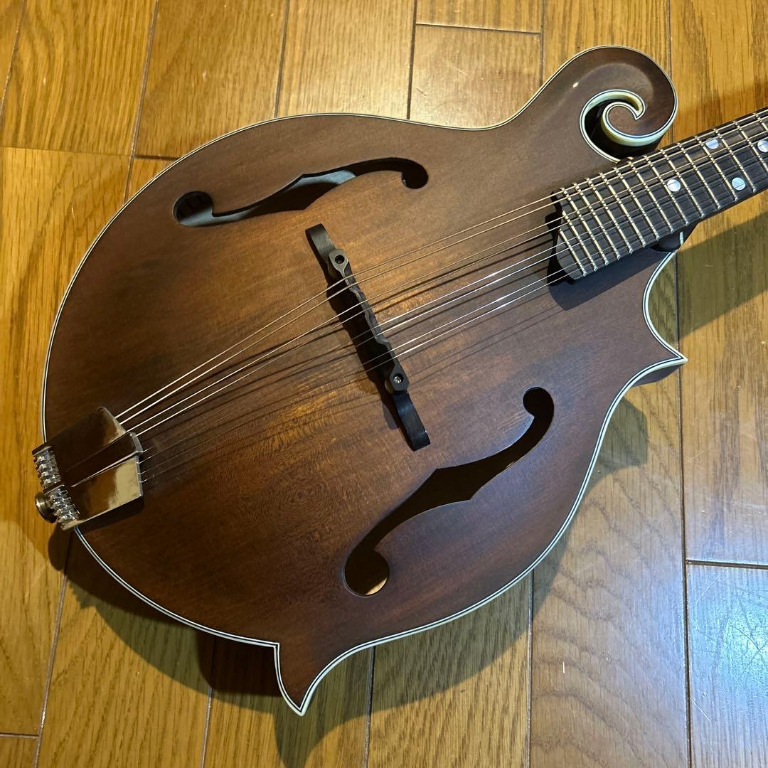 フラットマンドリン　イーストマン　md-315 /CLA ピックアップ付き