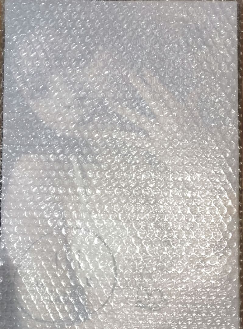 一ノ瀬瑠菜(シャルロット)サイン入り写真パネル1