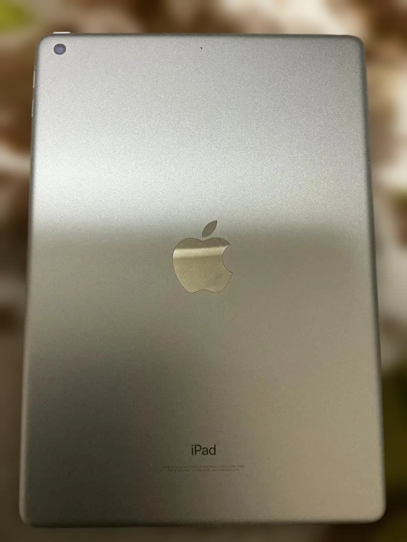 Apple ipad （第6世代）