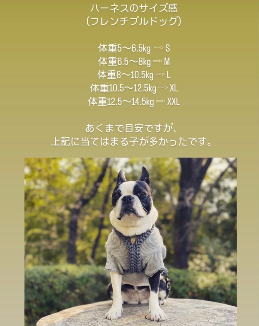 限定色ピンクベージュ✳︎ and hug.✳︎犬ハーネス＆多機能リード