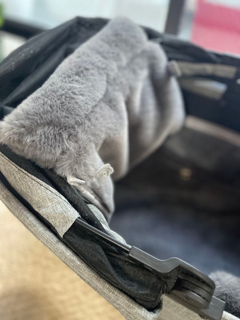 エアバギー ドーム3 ラージサイズのコット