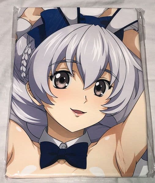 一本満足枕 YU-TA フルメタル・パニック！ テレサ・テスタロッサ抱き枕カバー