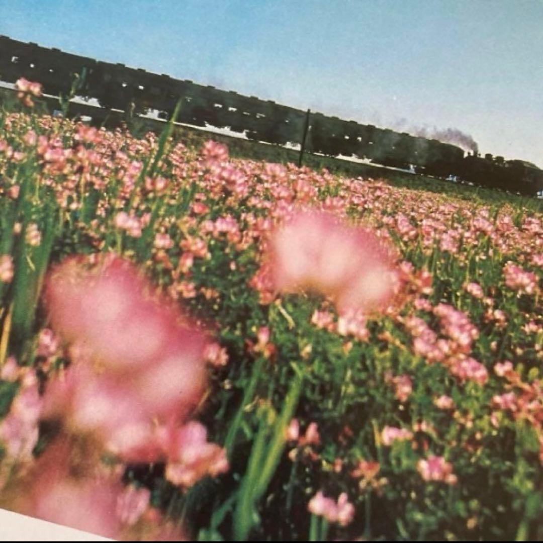 SL 蒸気機関車写真多数　　❤️超レア❤️ ビンテージダイアリー　ノベルティ　♡匿名