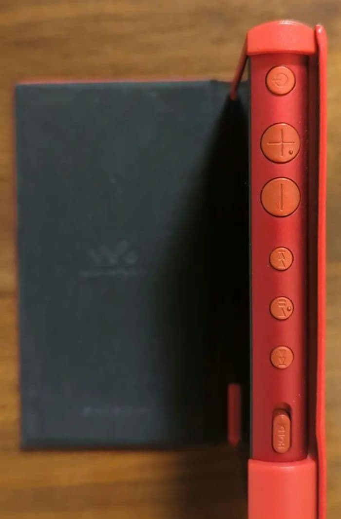 ポータブルプレーヤー SONY WALKMAN NW-100A