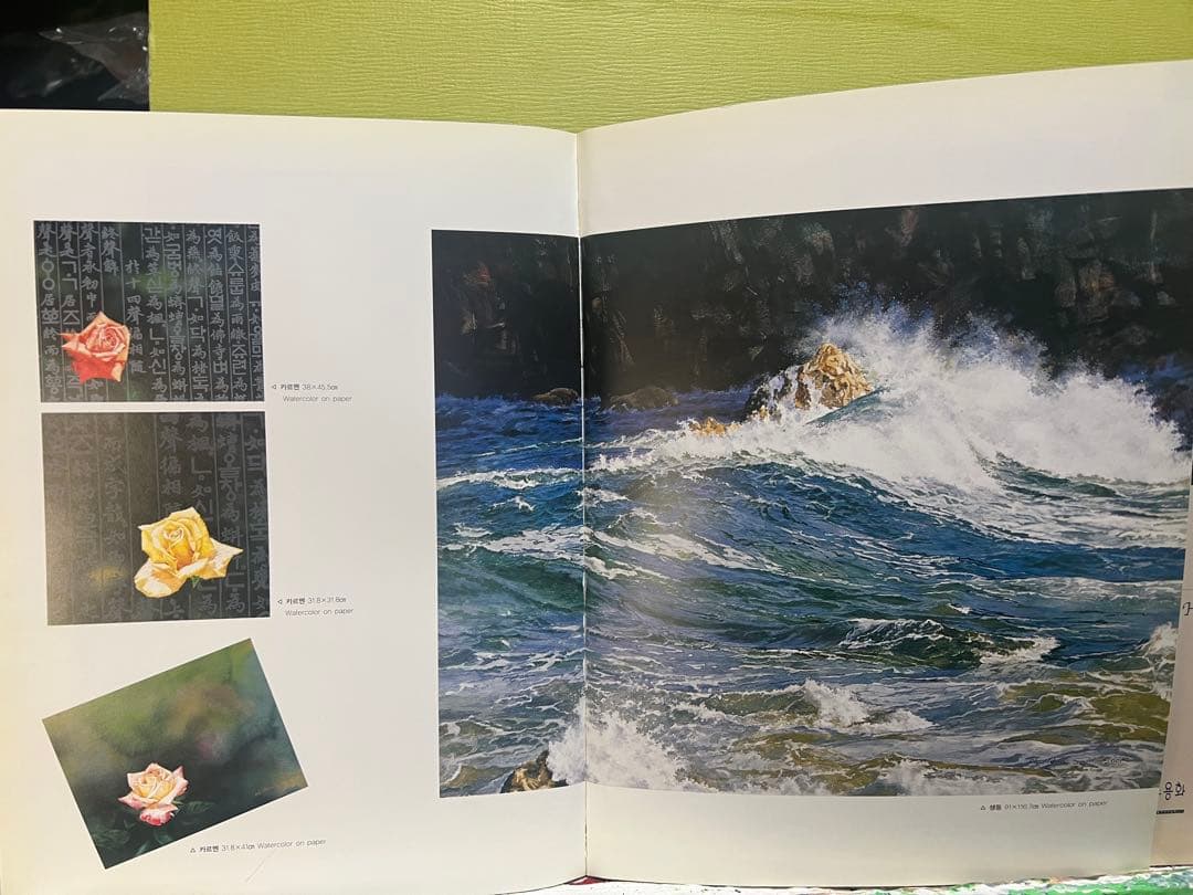 Hａn S am Ｓook 韓国女流作家、真作。 波うねる東海岸。