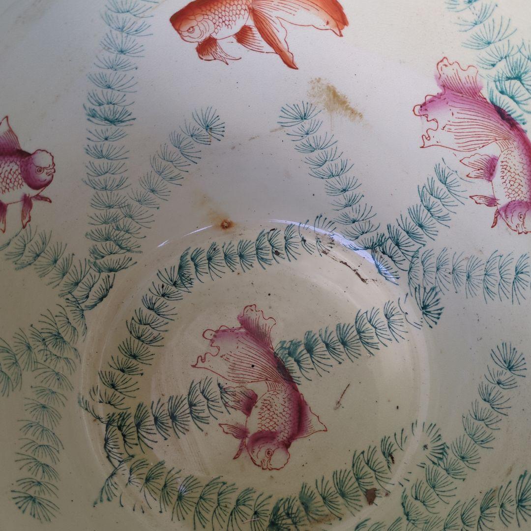 骨董 睡蓮鉢 水鉢 金魚 めだか 色絵 鉢 鉢カバー テーブル アンティーク