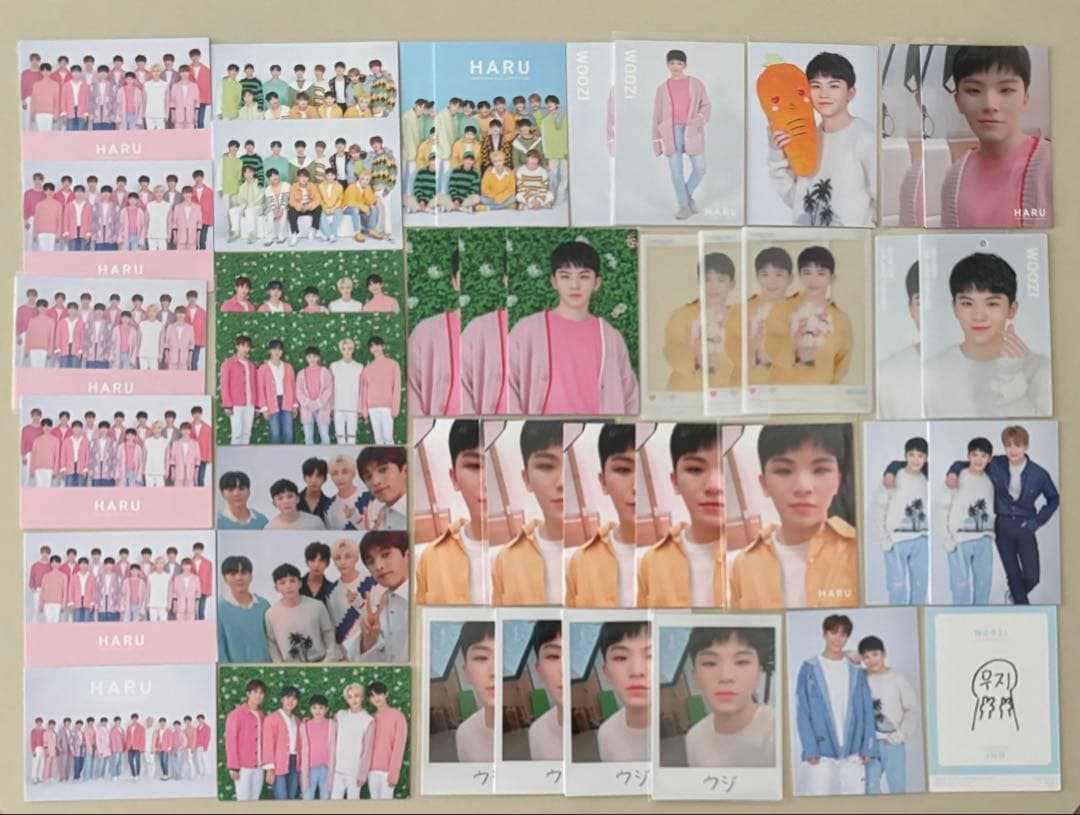 SEVENTEEN グッズ ソウルコン イルコン トレカ チェキ 直筆サイン