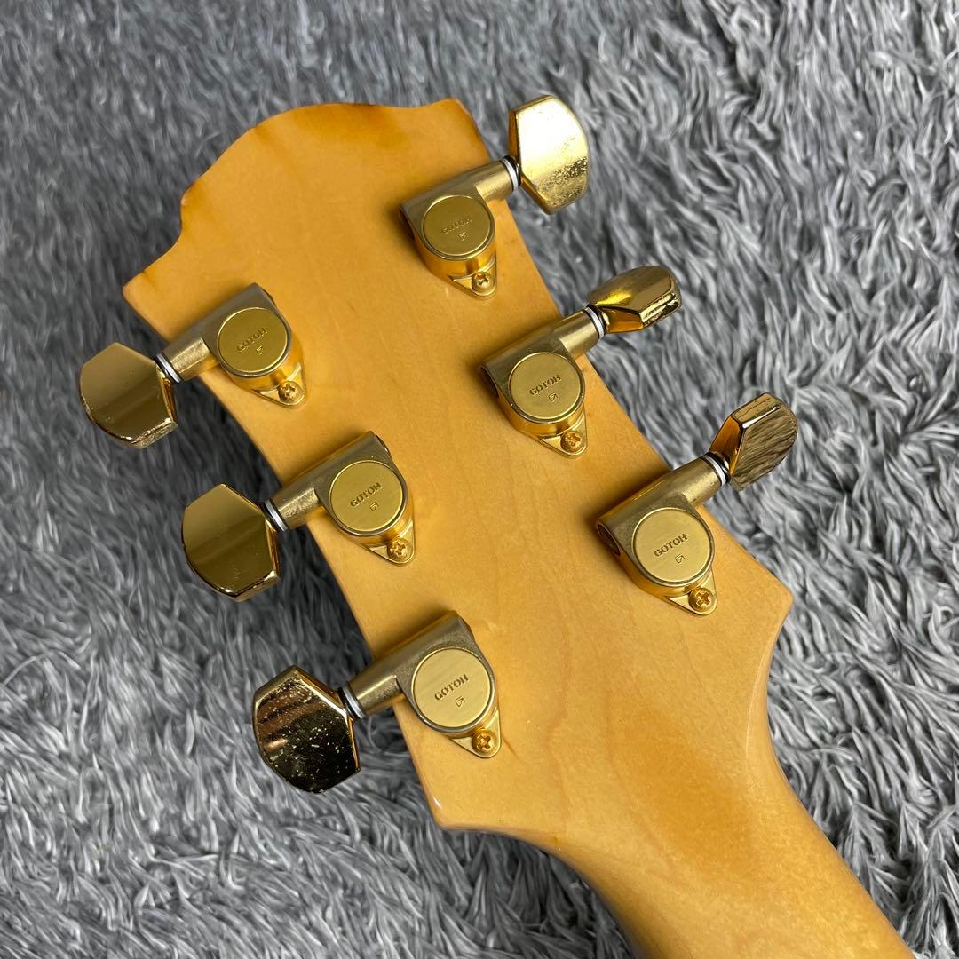 ギター Fernandes MG-80X