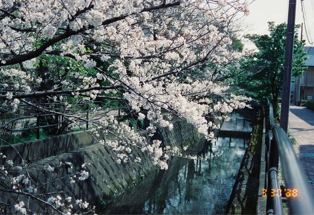 完動品　フィルムカメラNikon F80 レンズセット