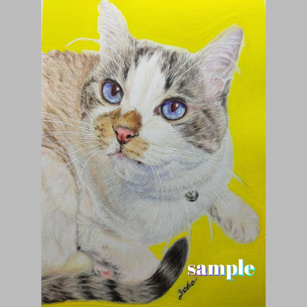 色鉛筆画✭愛猫愛犬✭ペット似顔絵　肖像画　イラスト　注文オーダー　受付ページ　1