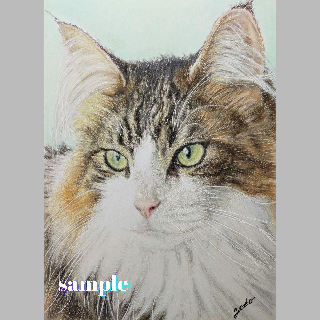 色鉛筆画✭愛猫愛犬✭ペット似顔絵　肖像画　イラスト　注文オーダー　受付ページ　1