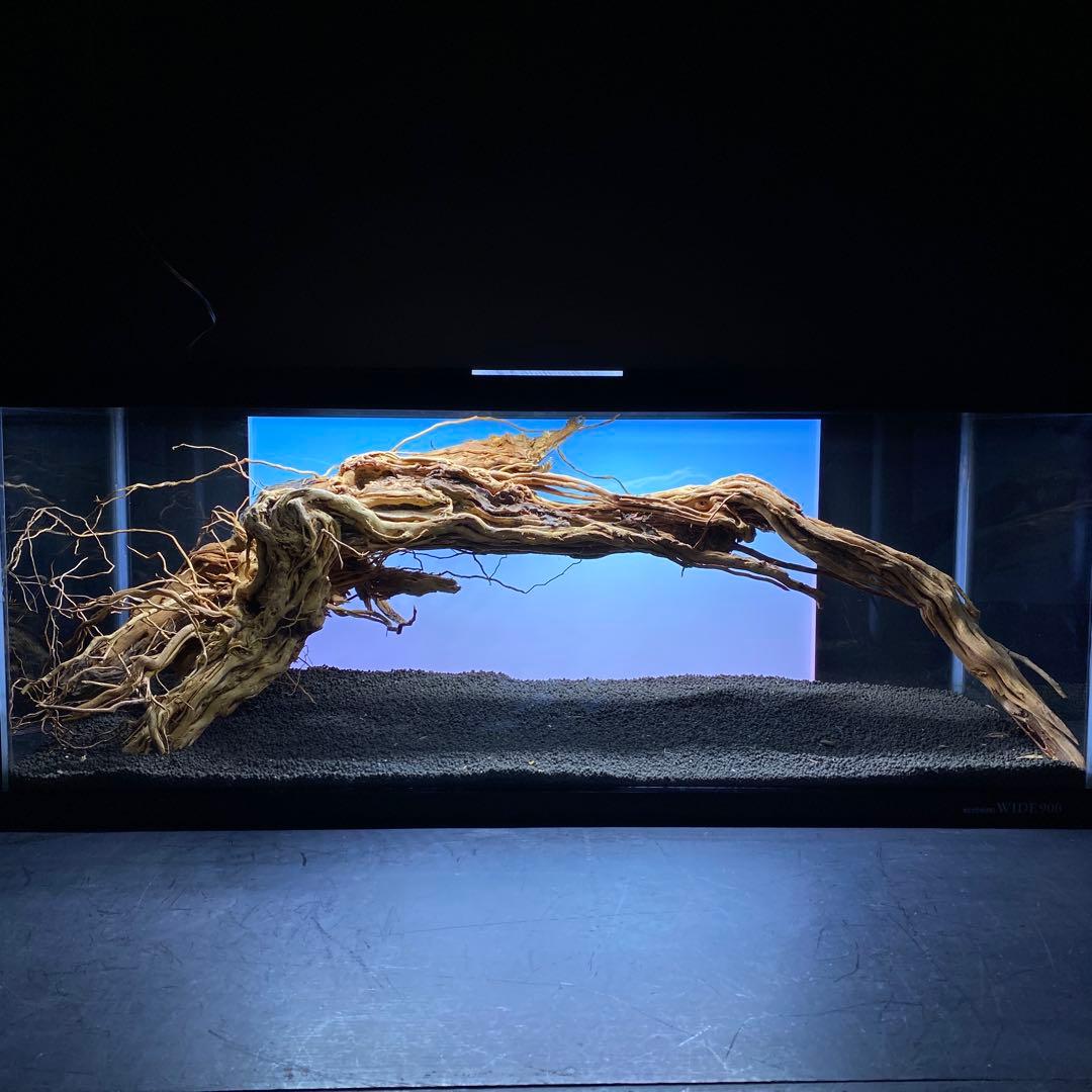 MTW-6351 蔦流木1点物　アーチ流木　90cm水槽用流木　アクアリウム