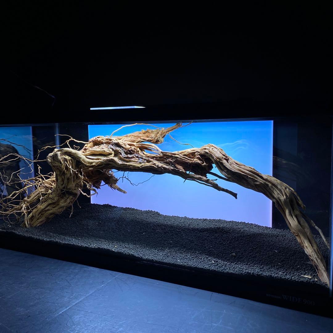 MTW-6351 蔦流木1点物　アーチ流木　90cm水槽用流木　アクアリウム