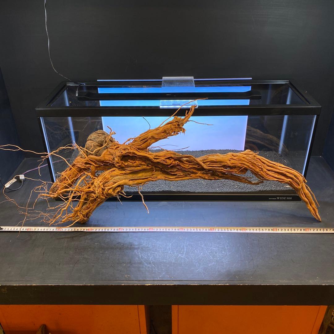 MTW-6351 蔦流木1点物　アーチ流木　90cm水槽用流木　アクアリウム