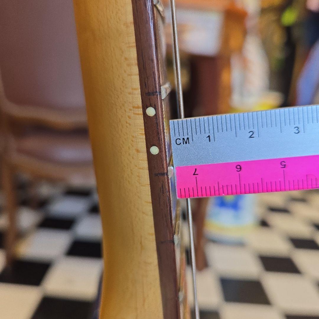 Pignose PGG-200 アンプ内蔵 ミニギター 訳あり　ピグノーズ