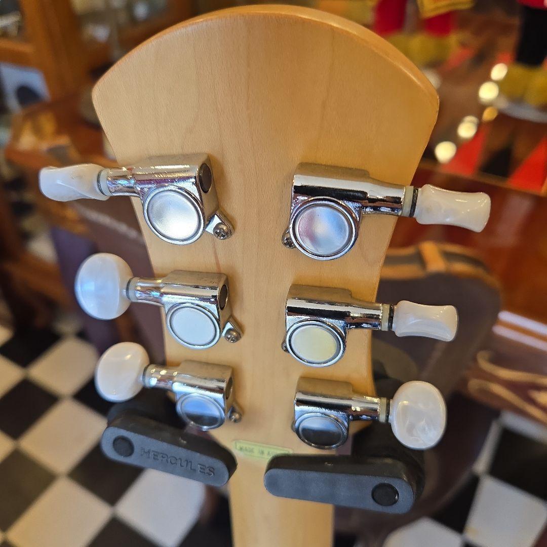 Pignose PGG-200 アンプ内蔵 ミニギター 訳あり　ピグノーズ