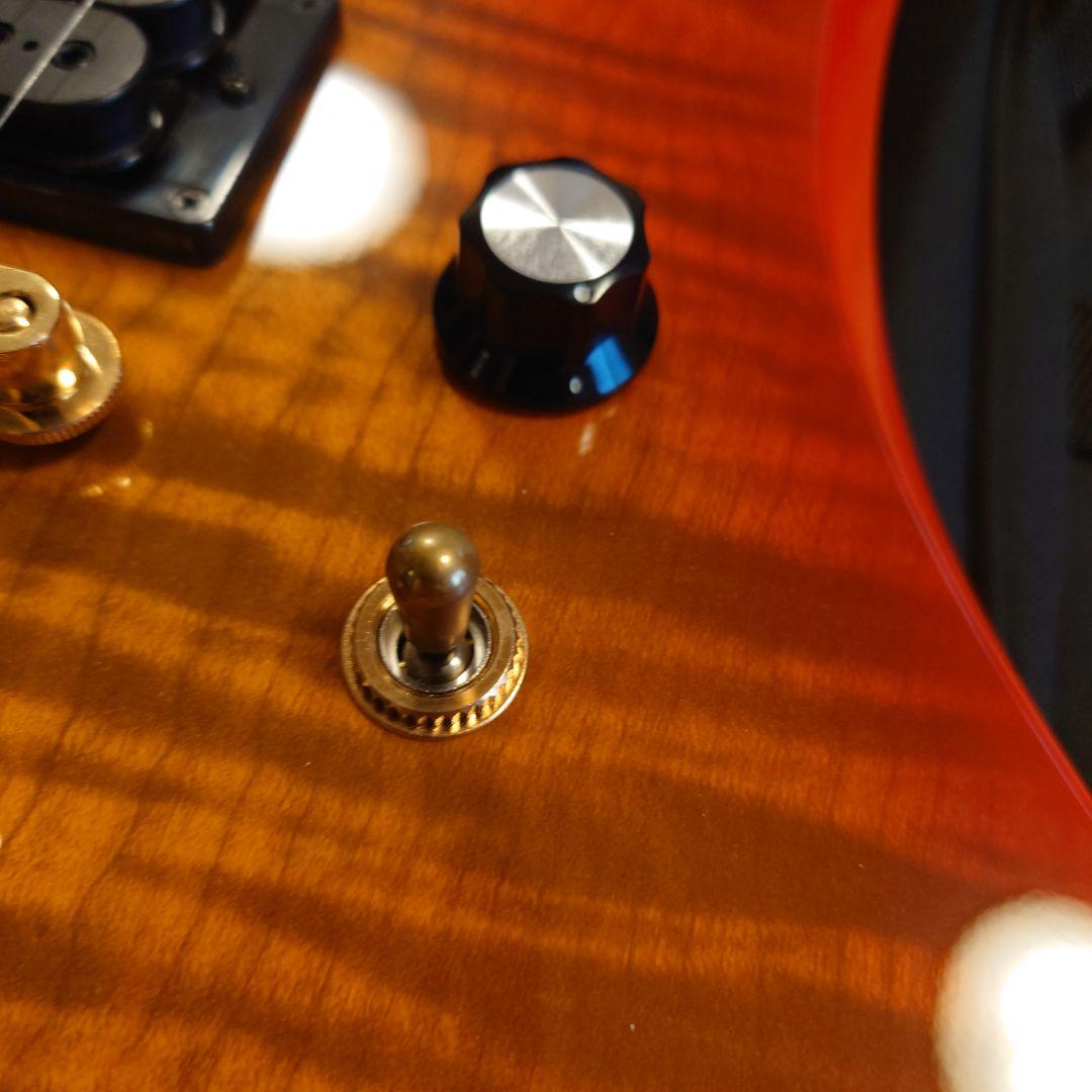 Burny MG-105X ヒデモデル　FERNANDES　フェルナンデス