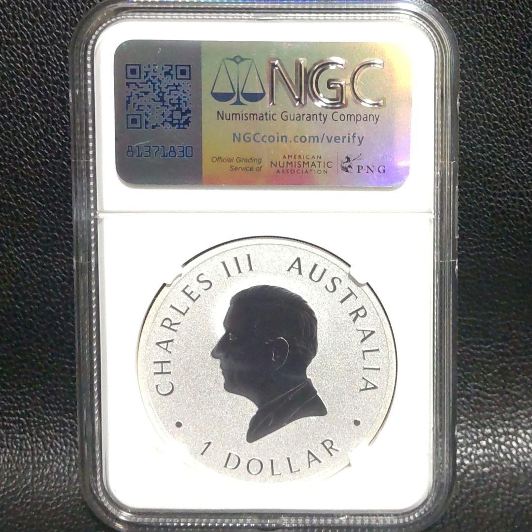 【最高鑑定】2025年 ウェッジテールドイーグル 1オンス銀貨 MS70 純銀