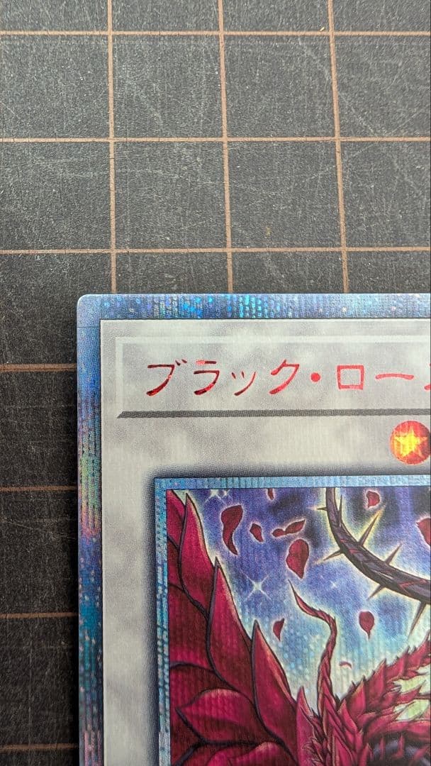 【美品】遊戯王 ブラックローズドラゴン 20thシークレット