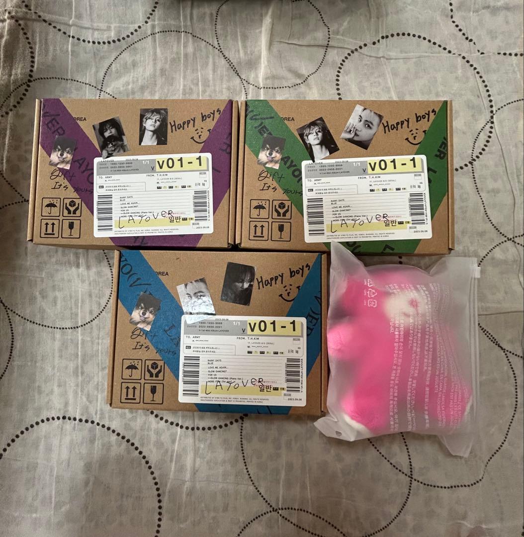 テテ 写真集 まとめ売り ベアーキーリング トレカ vicon