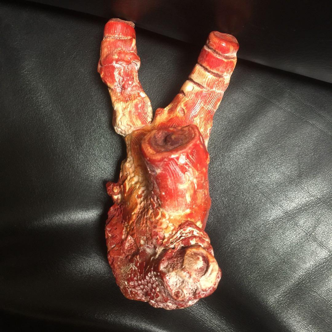 天然 紅珊瑚 504g